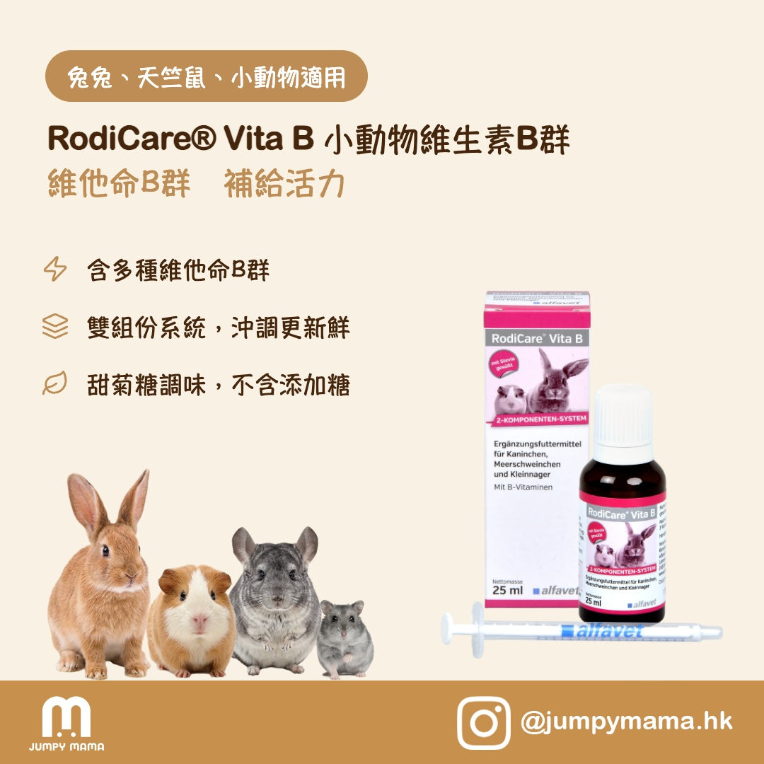 RodiCare® Vita B 維他命B群補充液｜提升精神體力・維生素B群｜小寵物 25ml