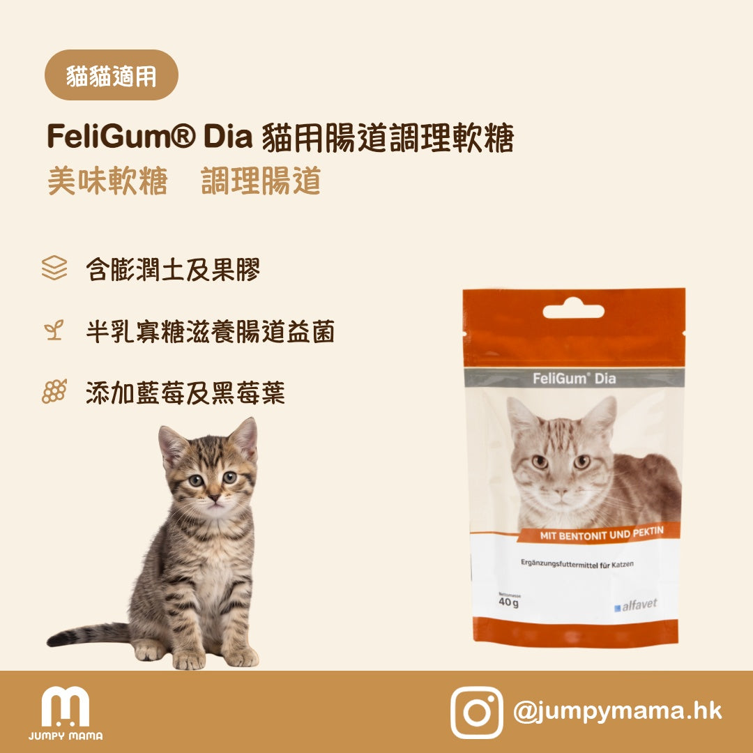 FeliGum® Dia 腹瀉舒緩軟糖｜急性肚瀉・益生元果膠｜貓用 40g