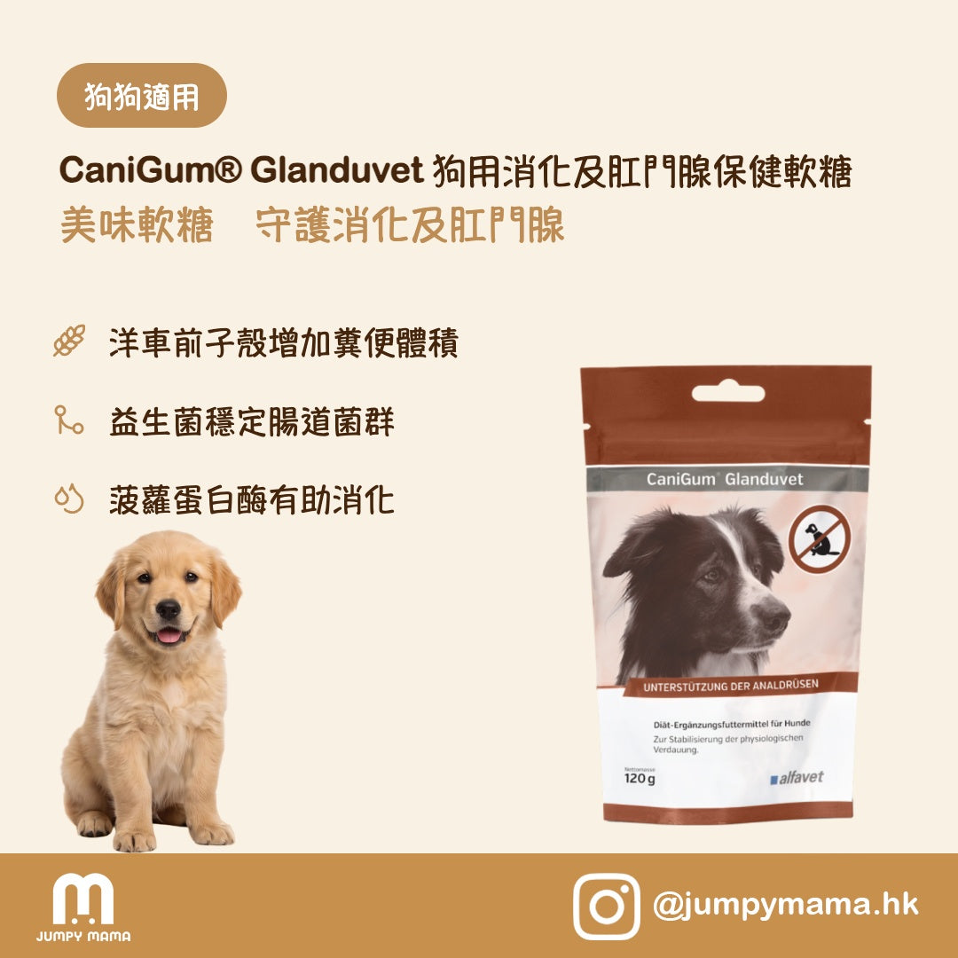 CaniGum® Glanduvet 便便成型軟糖｜高纖 + 益生菌 + 消化酶｜狗用 120g