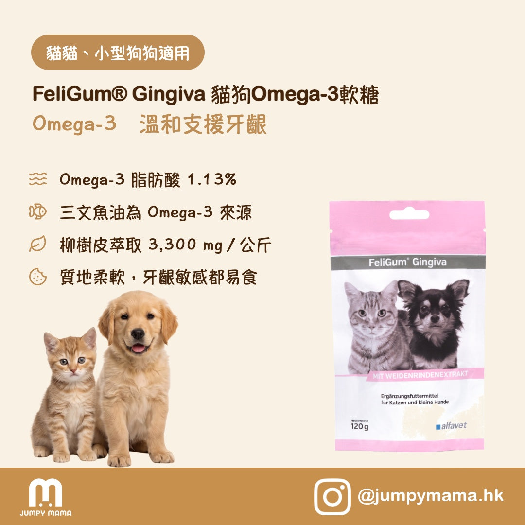 FeliGum® Gingiva 牙齦護理軟糖｜Omega-3魚油配方・舒緩牙齦敏感・改善口腔不適｜貓狗用 120g